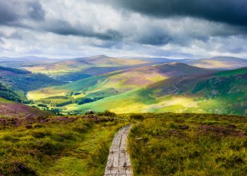 Irland: Drogen-Entkriminalisierung Ja, Cannabis-Legalisierung Nein