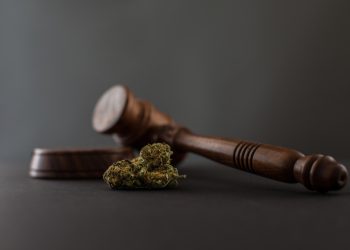 Wird jetzt alles besser? Öffentliche Anhörung zum CanG im Bundestag