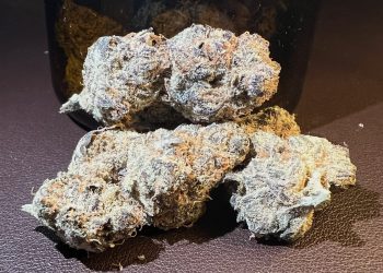 Medizinalcannabis Strain Review: avaay SIGNATURE 23/1 MC — Mandarine Cookies