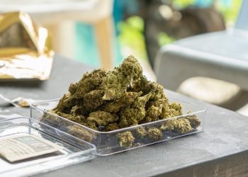 Japan: Cannabismedikamente werden erlaubt