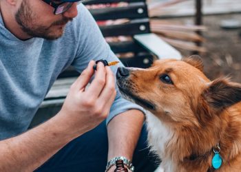 Astrasana Holding übernimmt Mehrheit von Releaf for Pets