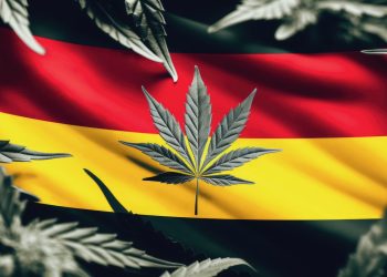 Appell an die Abgeordneten: Legalisierung von Cannabis soll gestoppt werden