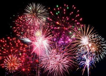 Steht uns 2024 das Jahr des Cannabis bevor?