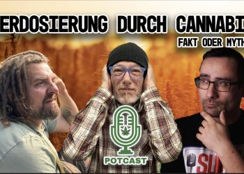 Überdosis bei Cannabis – Ist das möglich?