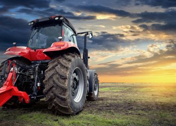 Cannabinoide als natürliche Pestizide in der Landwirtschaft