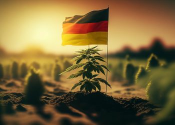 Lauterbach rechnet fest mit Legalisierung zum 1. April