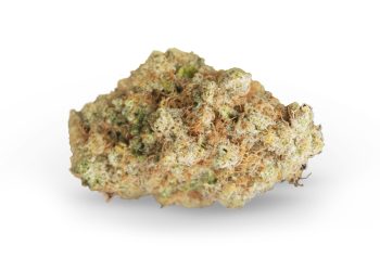 Medizinalcannabis Strain Review: avaay Signature 28/1 PG – Platinum garlic