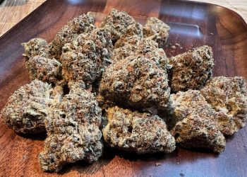 Medizinalcannabis Strain Review: avaay SIGNATURE 23/1 CR – Crescendo