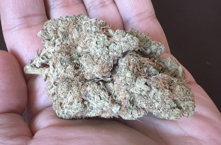 Medizinalcannabis Strain Review avaay Signature 28/1 PG Platinum