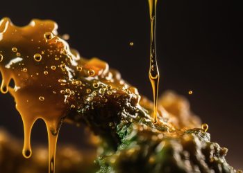 Cannabisextrakt zeigt tödliche Wirkung gegen Melanomzellen