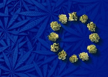 EU: Cannabisreformen im Wandel