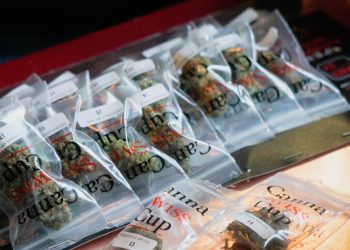 Das war der CannaSwissCup V.I.P. Jury Tag 2024