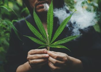 High Society – Die Top 25 Länder mit dem höchsten Cannabiskonsum