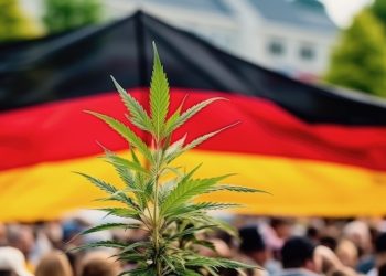 CanG: Söder und die CSU erwägen Klage