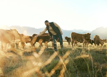 Hanf für Tier in Haus & Hof