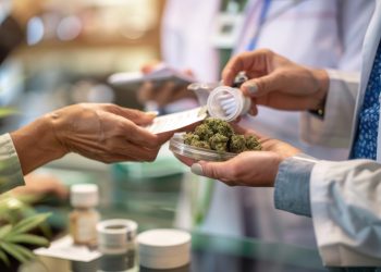 Frankreich: Keine Cannabisblüten als Medizin mehr?