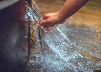 Legaler Cannabisanbau fördert die Reinheit des Trinkwassers