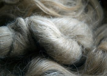 Megatrend Hanffasern: Entwicklungen und Chancen für die Wirtschaft