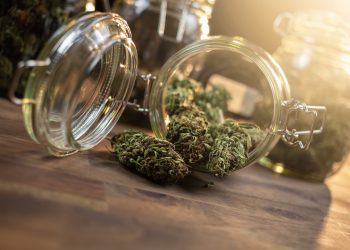 Welche Veränderungen bringt die Cannabis-Freigabe im Strafrecht?