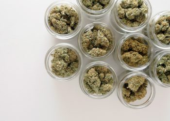 Cannabis auf Rezept verbessert Lebensqualität von Patienten deutlich