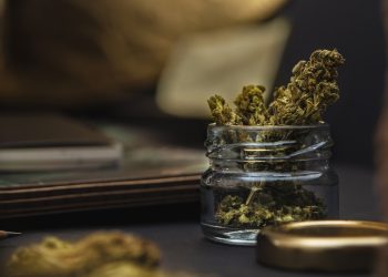 Cannabiskonsum hilft gegen kognitiven Leistungsabbau