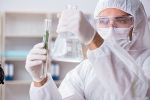 Медицинский потенциал CBL: редкий каннабиноид с перспективами