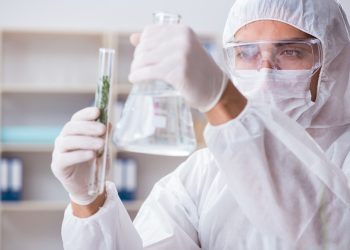 Das medizinische Potenzial von CBL