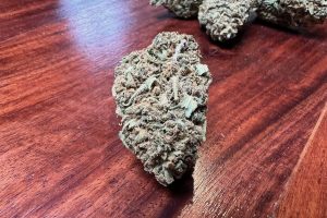 Medizinal Cannabis Strain Review: avaay 12/8 CAN - Cannatonic