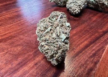 Medizinalcannabis Strain Review: avaay 12/8 CAN – Cannatonic