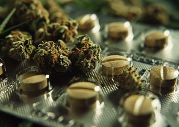 Therapeutische Cannabinoide – Hat CBN neuroprotektive Effekte?