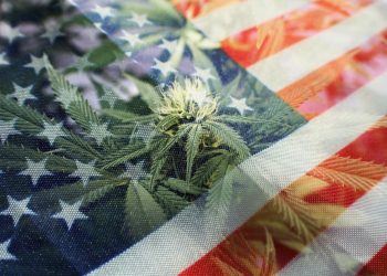 US-Republikaner gegen Entschärfung für Cannabis im Völkerrecht
