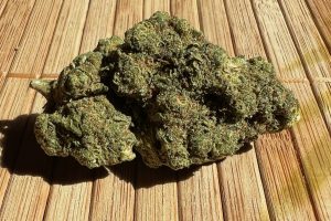 Tıbbi Cannabis Strain İncelemesi: avaay 22/1 LSB - Lemon Sherbet