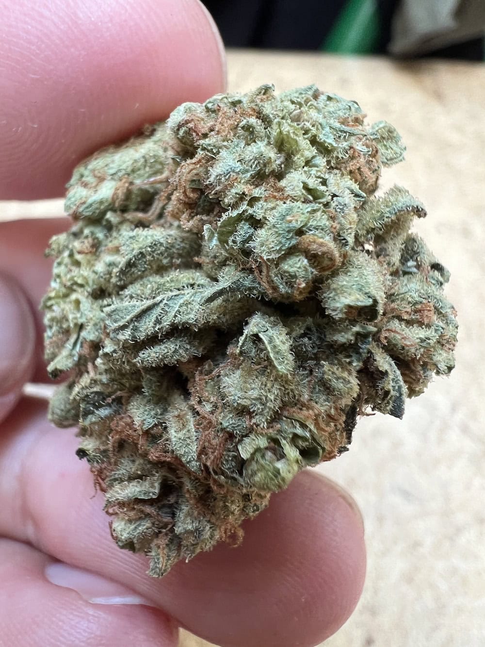 Medizinalcannabis Strain Review Cannamedical CM 16/1 GRP Grapefruit