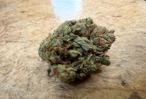 Tıbbi Cannabis Strain İncelemesi: Cannamedical CM 16/1 GRP - Grapefruit Gift
