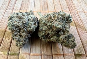 Medizinalcannabis Ürün İncelemesi: Cannamedical CM 27/1 PO - Platinum Oranges