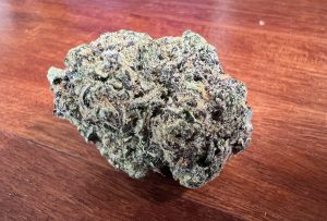 Medikal Cannabis Strain İncelemesi: Cannamedical Sativa Forte NM - Wedding Tree