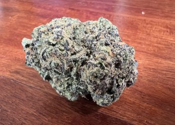 Medizinalcannabis Strain Review: Cannamedical Sativa Forte NM – Wedding Tree