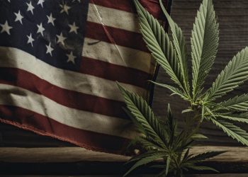 DEA Entscheidung zur Neueinstufung von Cannabis in Kürze erwartet