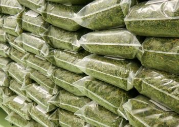 Deutschlands Cannabisimporte steigen um über 25 Prozent im Jahr 2023