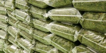 Deutschland hat 2023 über 25 Prozent mehr Cannabis importiert