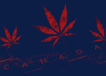 Kanada: Exporte von medizinischem Cannabis steigen um 36 Prozent