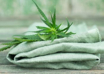 Die Hanffaser: eine nachhaltige Zukunft in der Textilindustrie 