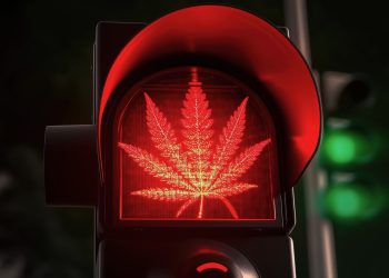 Thailand Umfrage: Bevölkerung für Wiedereinführung des Cannabisverbots