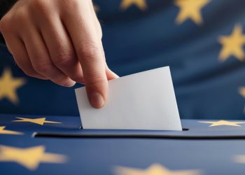 Die Europawahl und ihre Auswirkungen auf die EU-Cannabispolitik