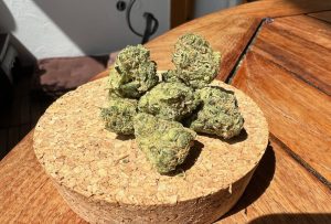 Tıbbi Cannabis Çeşidi İncelemesi: avaay 27/1 SCG - Super Citra G