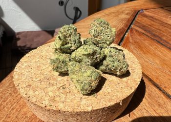 Medizinalcannabis Strain Review: avaay 27/1 SCG – Super Citra G
