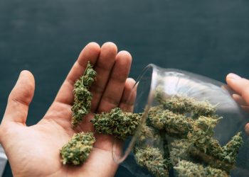 Medizinalhanf: 80.000 Patienten in Deutschland