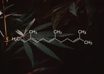 Farnesene: Ein verborgenes Juwel unter den Terpenen