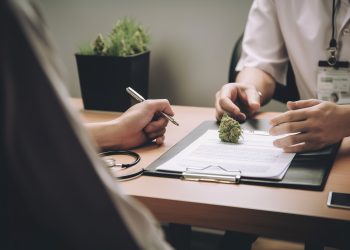 Ist Medizinalcannabis Ersatz für den Schwarzmarkt?