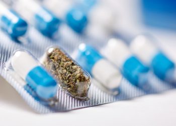 Kein Genehmigungsvorbehalt mehr für Cannabis auf Rezept
